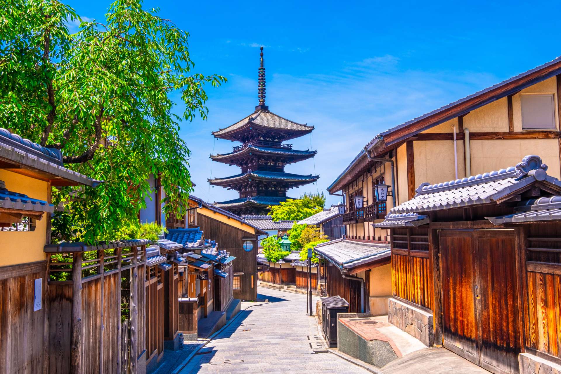 京都文化ツアー