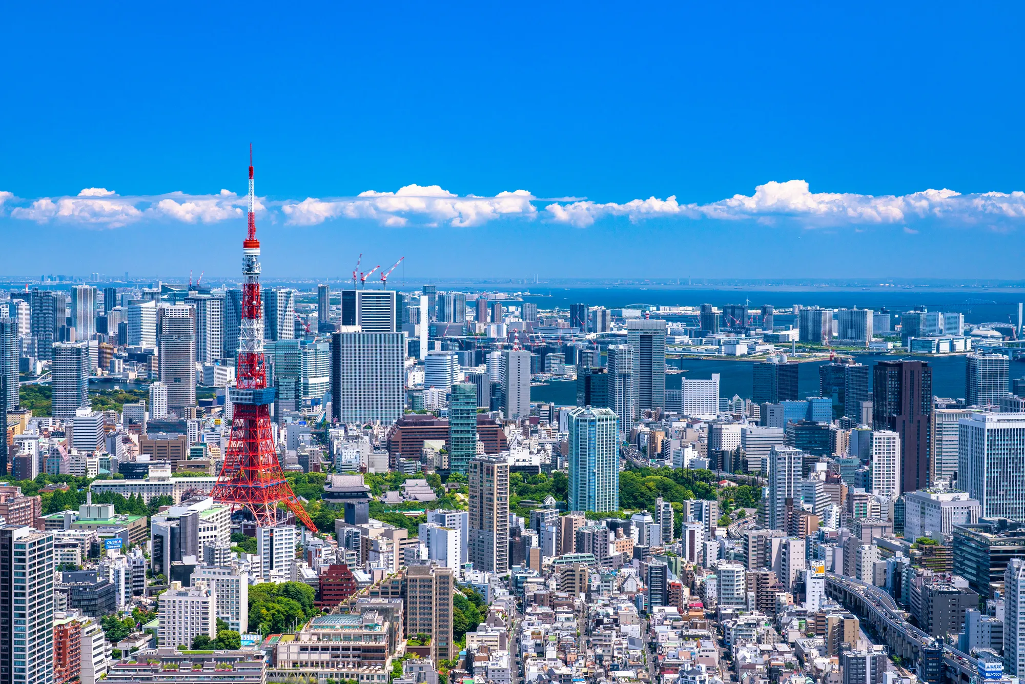 東京観光ツアー